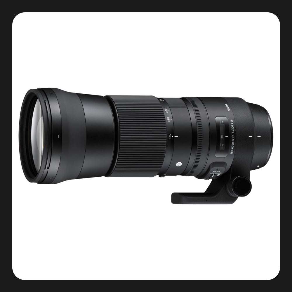 Sigma 150-600mm f/5-6.3 DG OS HSM Contemporary