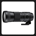 Sigma 150-600mm f/5-6.3 DG OS HSM Contemporary