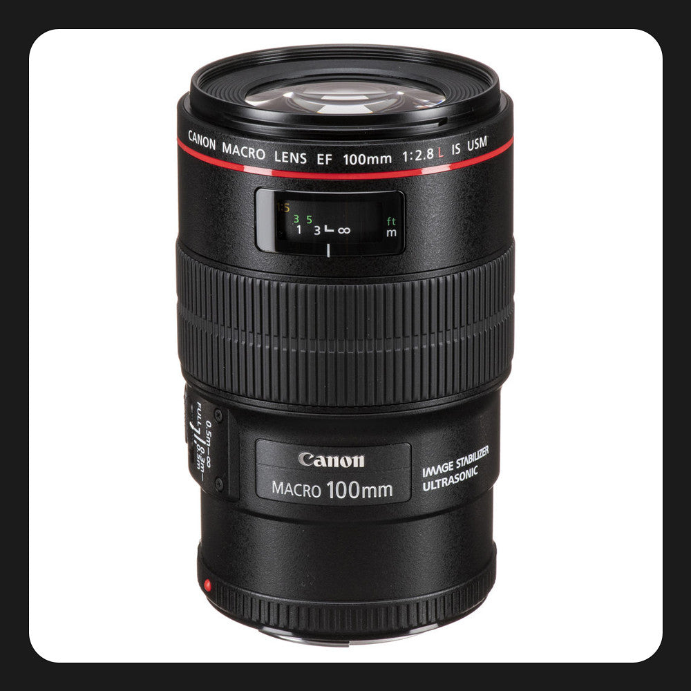 Canon EF 100mm f2.8L Macro IS USM