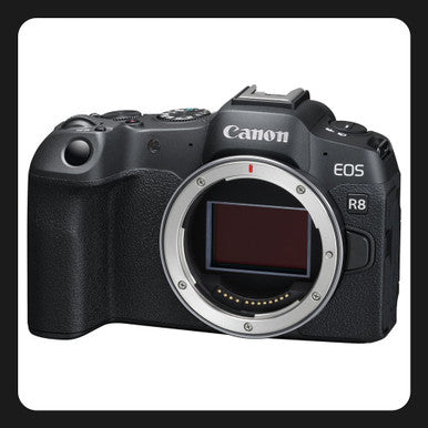 Canon EOS R8 Solo Cuerpo