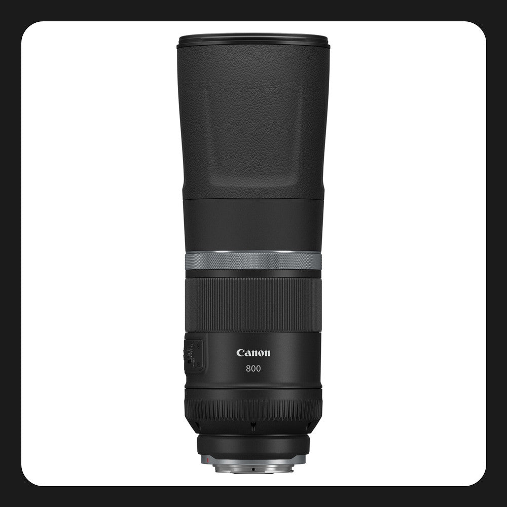 Canon RF 800mm f11 IS STM