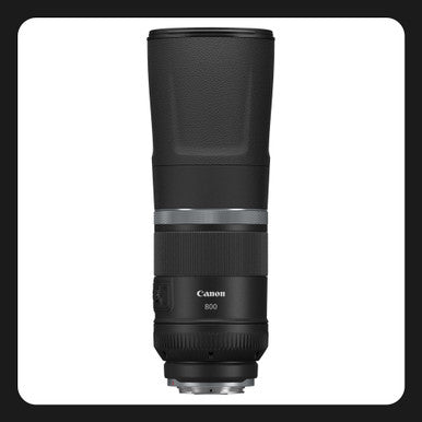 Canon RF 800mm f11 IS STM