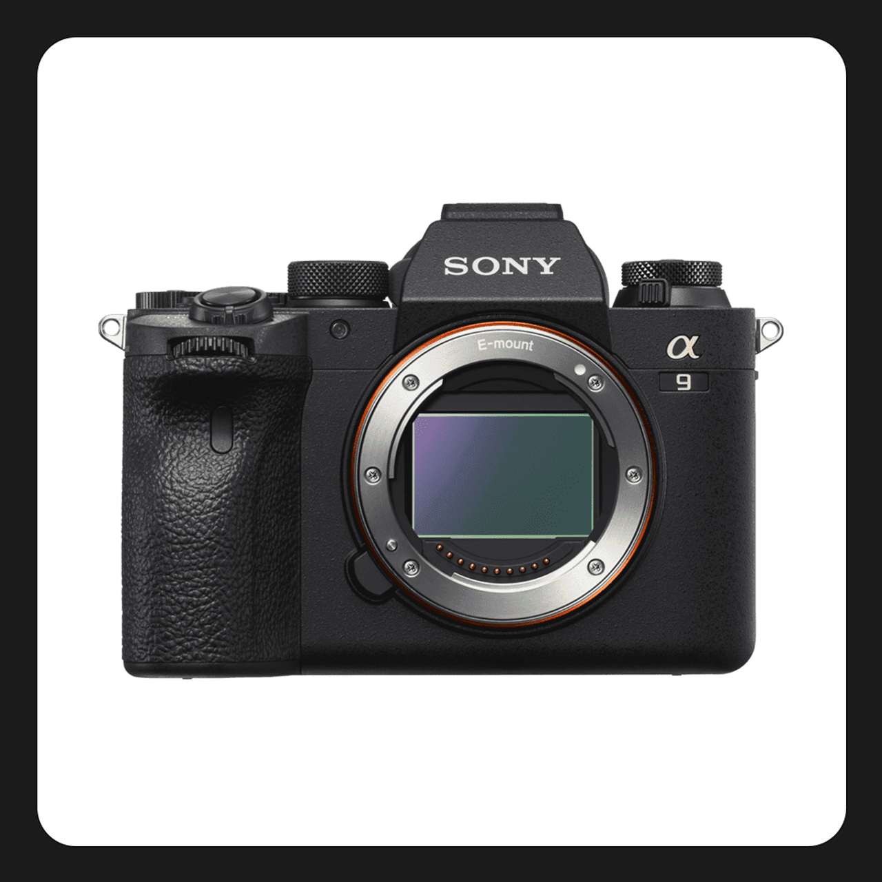 Sony Alpha 9 II Solo Cuerpo