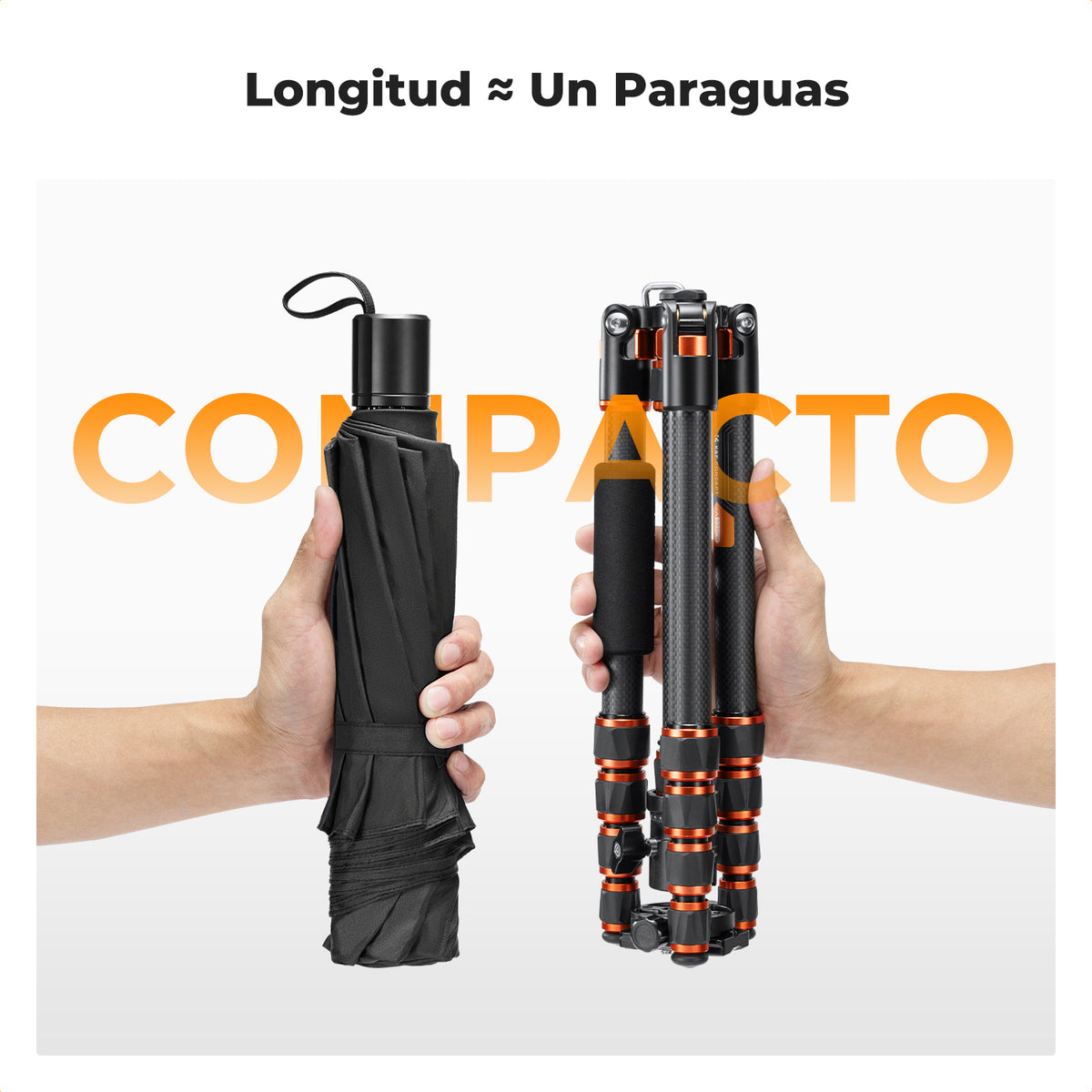Trípode K&F Concept Fibra de Carbono con Monopié Desmontable