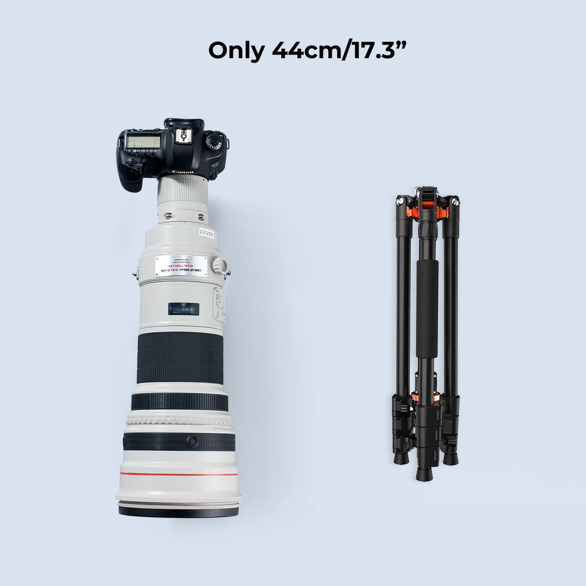 Trípode K&F Concept K254A3+BH28L