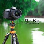 Trípode K&F Concept K254A3+BH28L