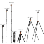 Trípode K&F Concept K254A3+BH28L