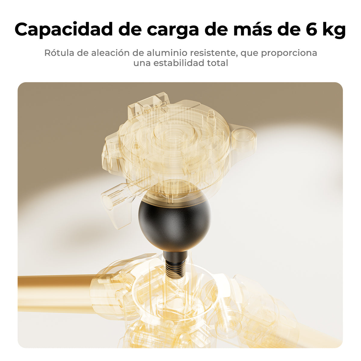 Trípode K&F Concept Fibra de Carbono con Rótula Arca-Swiss