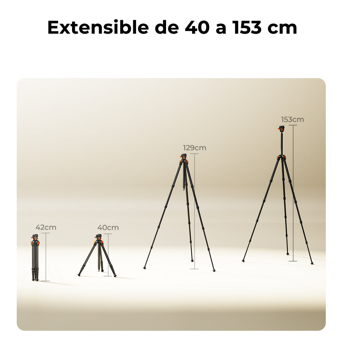 Trípode K&F Concept Fibra de Carbono con Rótula Arca-Swiss